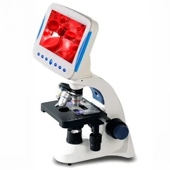 Profesionālās 2000X Digitālo Savienojumu Bioloģisko Mikroskopu Spermas Novērošanas LED Skolas Laboratorijā ar Ekrāna Mērīšanas Līnijas